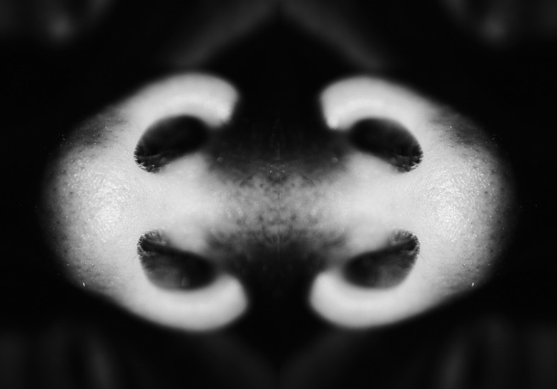 Smell 5 | photography