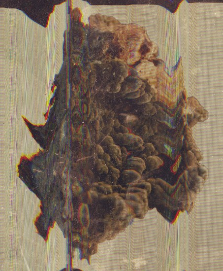Mottramite | skan kamienia z ekranu tabletu, druk cyfrowy | 200 x 164 cm