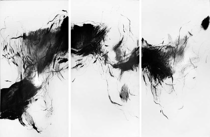 Novum ens R VIII, IX, X (triptych) | coal on paper | 3× 300×150 cm | 2015