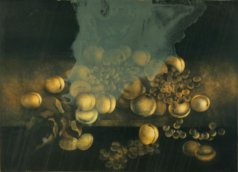 Martwa Natura | litografia | 57×76 cm | 2008