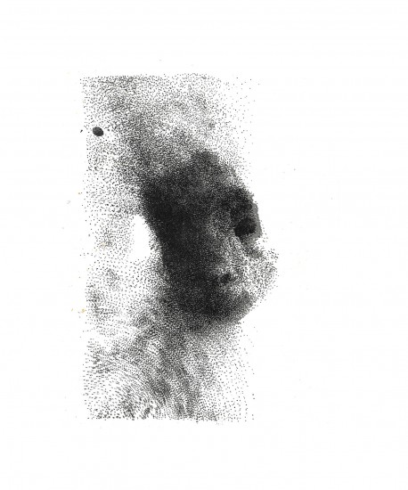 Owca I | litografia | 32x22cm | 2016