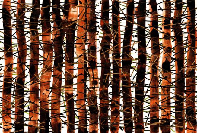 Las czerwony | druk cyfrowy | 150x220cm